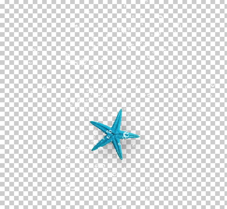 Starfish Turquoise Body Jewellery PNG, Clipart, Animals, Aqua, Blue, Body Jewellery, Body Jewelry Free PNG Download