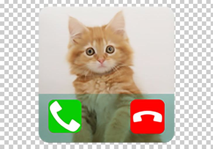Fake Call Talking Cat Prank Call Telephone Call PNG, Clipart, Amazoncom, Android, App Store, Carnivoran, Cat Free PNG Download