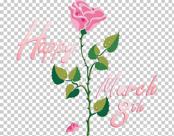 International Women's Day 8 March Woman Happiness Wish PNG, Clipart,  Free PNG Download