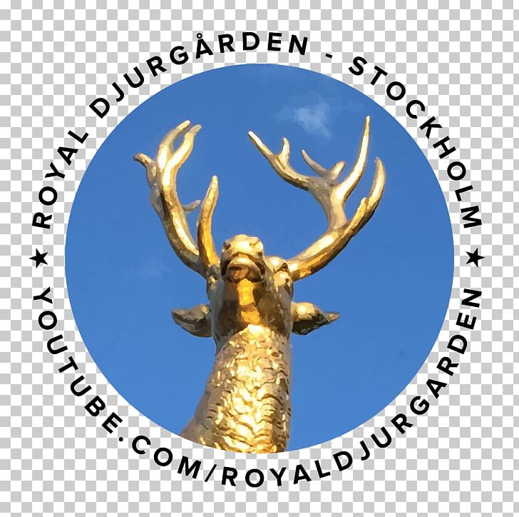 Royal National City Park Visit Djurgården Strandvägen PNG, Clipart, Antler, Deer, Organism, Others, Park Free PNG Download