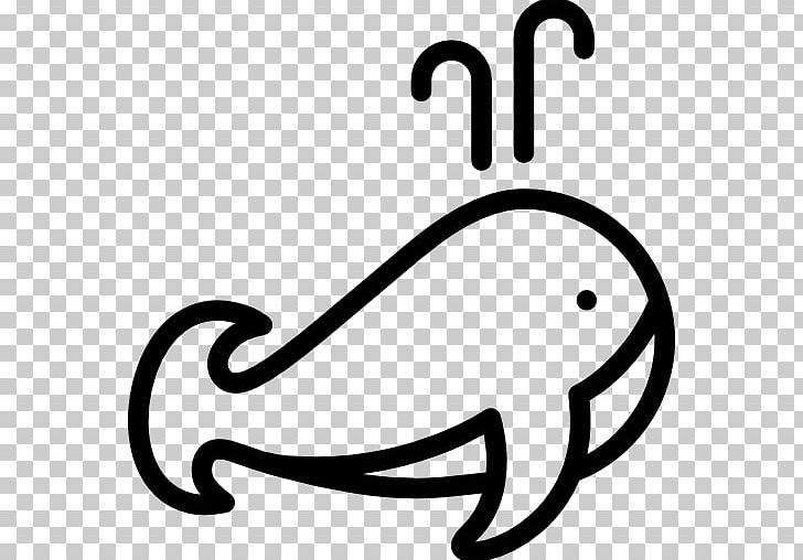 Whale Computer Icons PNG, Clipart, Animals, Black And White, Computer Icons, Dolphin, Download Free PNG Download