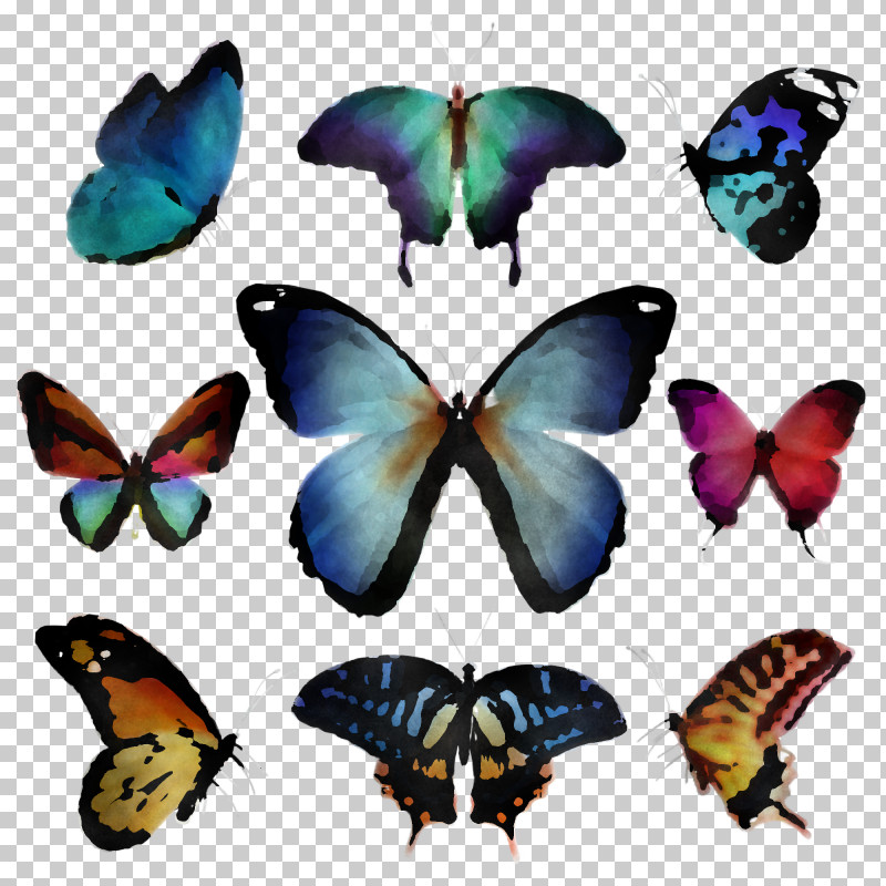 Moths And Butterflies Butterfly Insect Pollinator Apatura PNG, Clipart, Apatura, Apatura Iris, Brushfooted Butterfly, Butterfly, Insect Free PNG Download