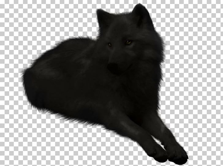 Dog Black Wolf Puppy Drawing Pack PNG, Clipart, Alpha, Animal, Animals, Arctic Wolf, Black Free PNG Download