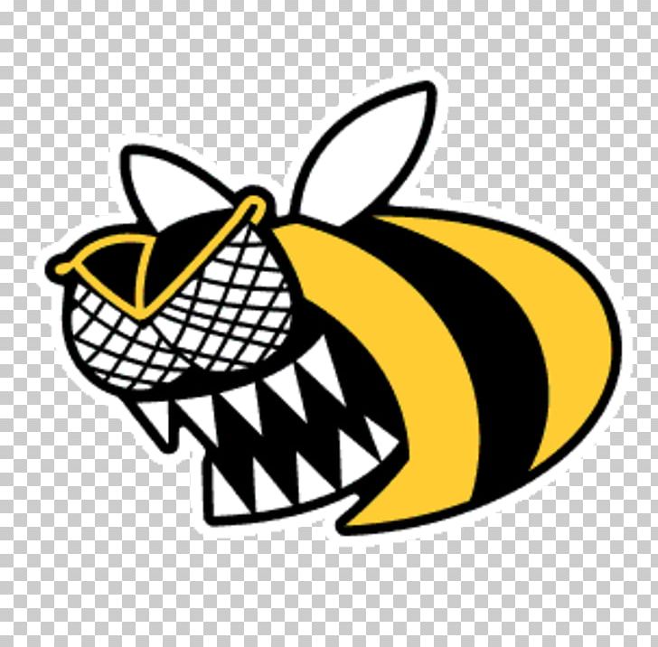 Western Honey Bee Africanized Bee Bee Sting PNG, Clipart, Artwork, Bath, Bee, Birmingham, Birmingham Lions Free PNG Download
