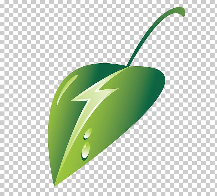Green Leaf PNG, Clipart, Grass, Green, Leaf, Plant Free PNG Download