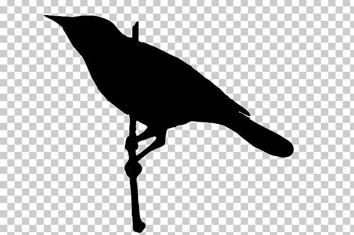 Guitar Picks Silhouette Strum PNG, Clipart, Beak, Bird, Black And White, Crow, Drum Stick Free PNG Download