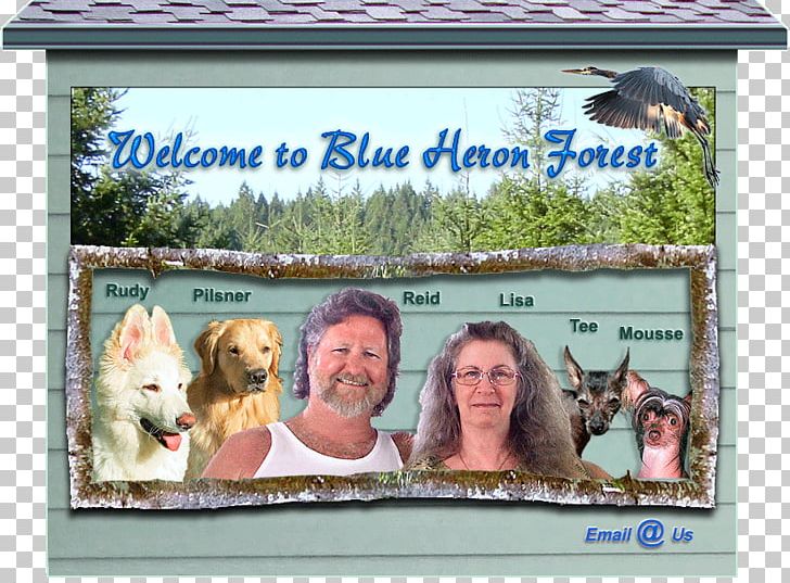 Surname Family Frames Mammal PNG, Clipart, Advertising, Animal, Banner, Com, Family Free PNG Download