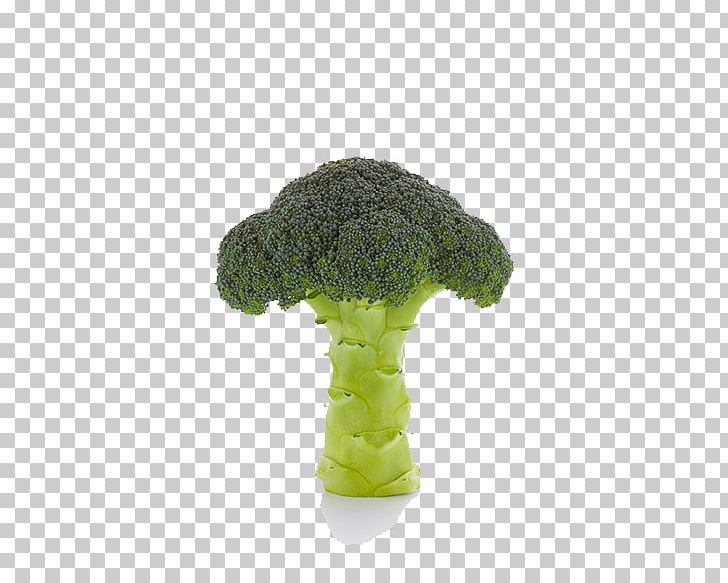 Cauliflower Vegetable Broccoli PNG, Clipart, Broccoli, Cabbage, Cartoon Cauliflower, Cauliflower, Cauliflower Frozen Free PNG Download