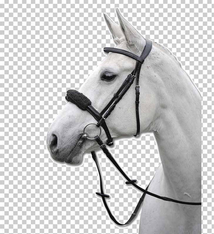 Reitsport Schill Black Pony Mustang Bridle PNG, Clipart, Black, Black And White, Bridle, Calais, Color Free PNG Download