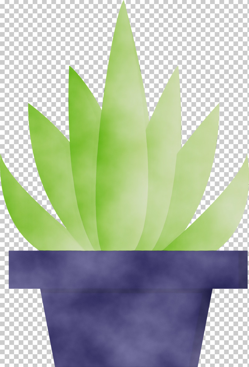 Green Leaf Plant Agave Flower PNG, Clipart, Agave, Aloe, Flower, Flowerpot, Green Free PNG Download