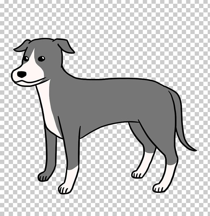 Dog Breed Italian Greyhound Puppy Companion Dog PNG, Clipart, Black, Black And White, Breed, Carnivoran, Companion Dog Free PNG Download