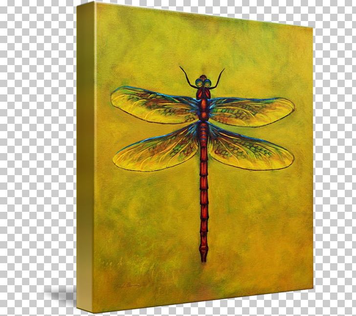 Dragonfly Insect Gallery Wrap Canvas Art PNG, Clipart, Art, Arthropod, Canvas, Dragonflies And Damseflies, Dragonfly Free PNG Download