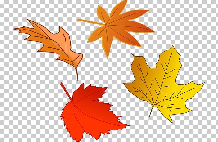 Graphics Autumn Illustration PNG, Clipart, Autumn, Autumn Leaf Color, Drawing, Flower, Flowering Plant Free PNG Download