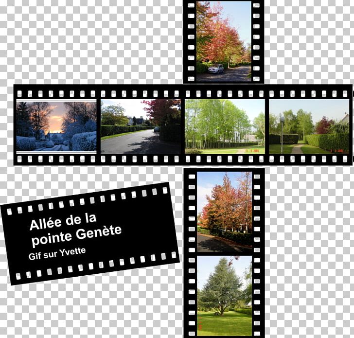 Photographic Film Allée De La Pointe Genête Hamlet Photography PNG, Clipart, Camera Accessory, Film, Hamlet, Others, Photographic Film Free PNG Download