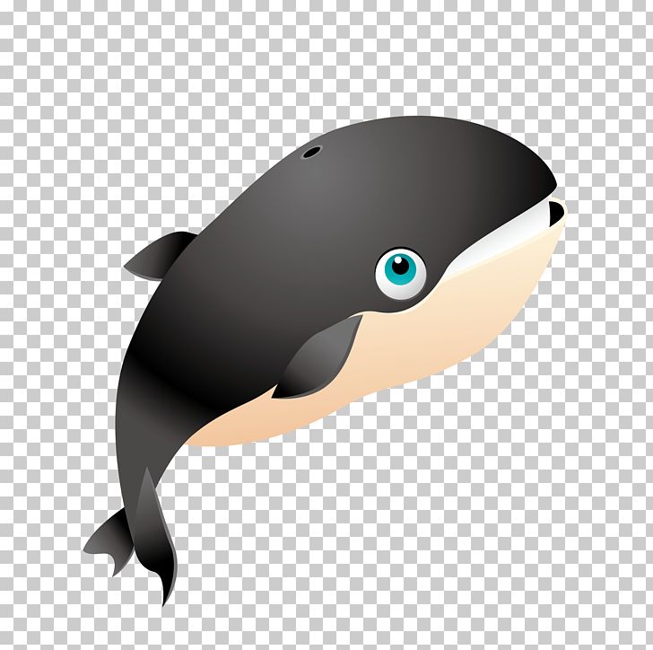 Blue Whale Killer Whale PNG, Clipart, Animal, Animals, Big Shark, Bird, Black Free PNG Download