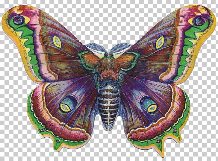 Butterfly Victorian Era PNG, Clipart, Arthropod, Blog, Bombycidae, Brush Footed Butterfly, Butterfly Free PNG Download