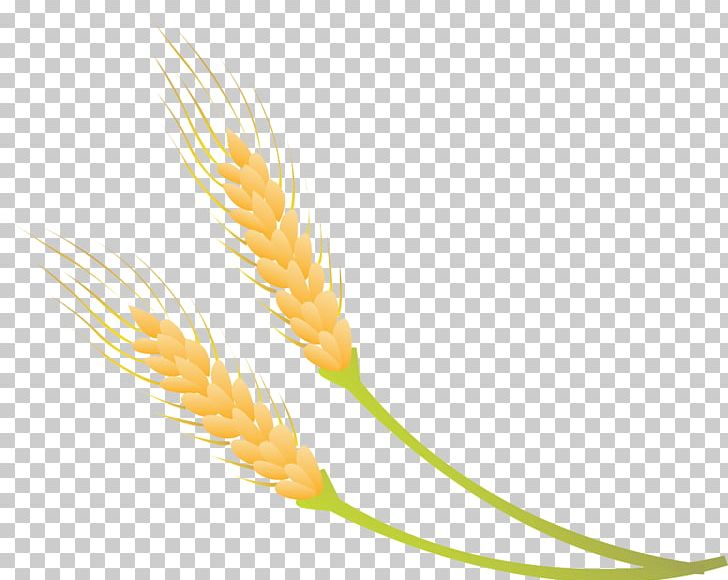 Drawing Moe Logo PNG, Clipart, Abstract Pattern, Cartoon, Decorative, Feather, Food Grain Free PNG Download