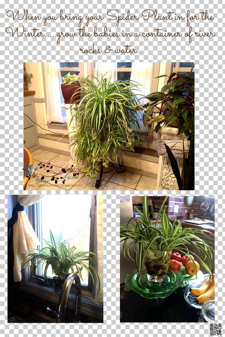 Houseplant Flowerpot Herb Tree PNG, Clipart, Flowerpot, Herb, Houseplant, Plant, Tree Free PNG Download