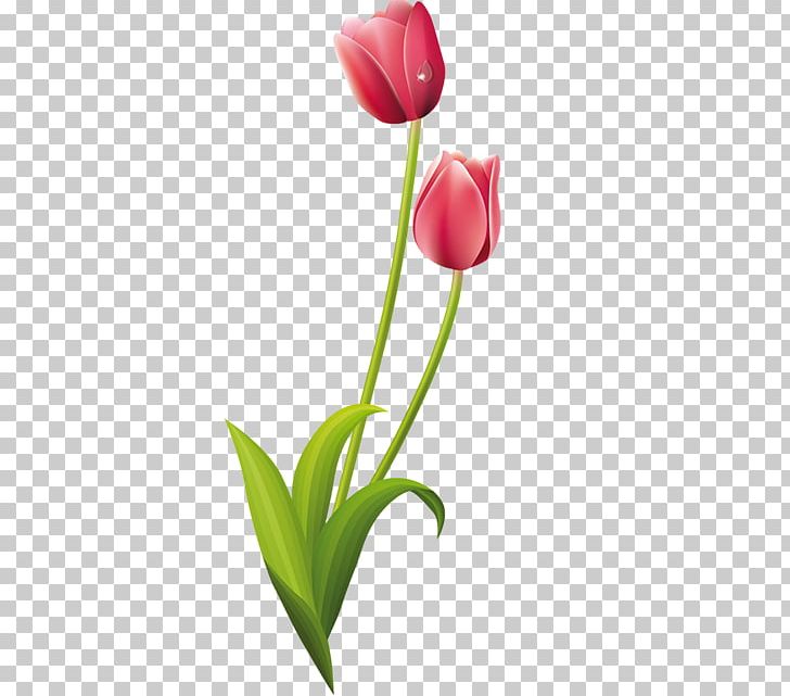 Tulip Flower Drawings Painting PNG, Clipart, Art, Bud, Cut Flowers, Decoupage, Drawing Free PNG Download