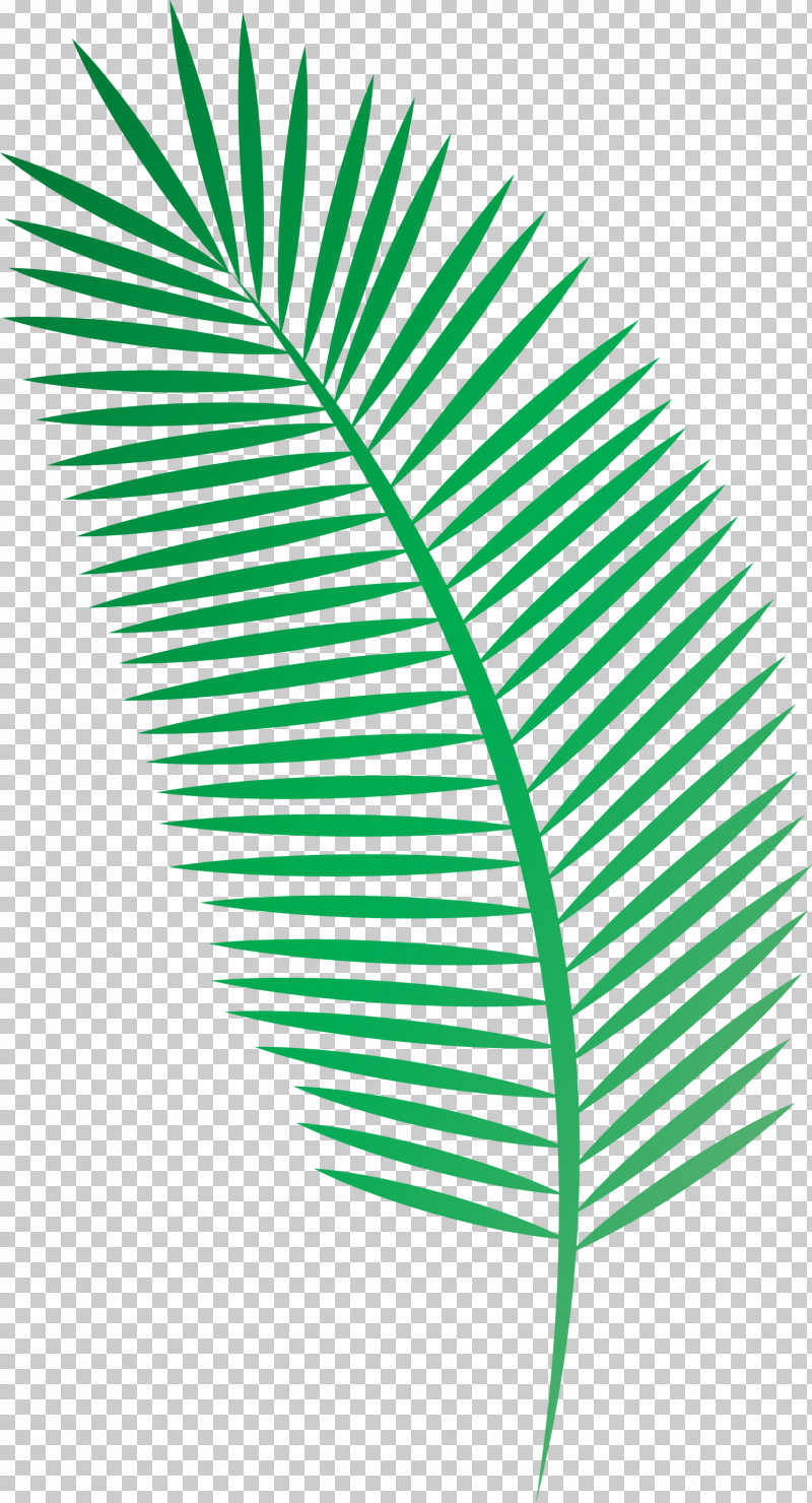 Arabian Landscape PNG, Clipart, Arabian Landscape, Drawing, Fern, Leaf, Line Art Free PNG Download