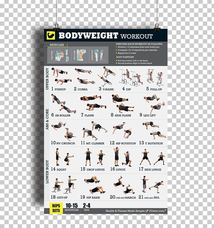 Bodyweight Exercise General Fitness Training Exercise Balls Strength Training PNG, Clipart, Abdominal Exercise, Advertising, Bodyweight Exercise, Core, Crunch Free PNG Download