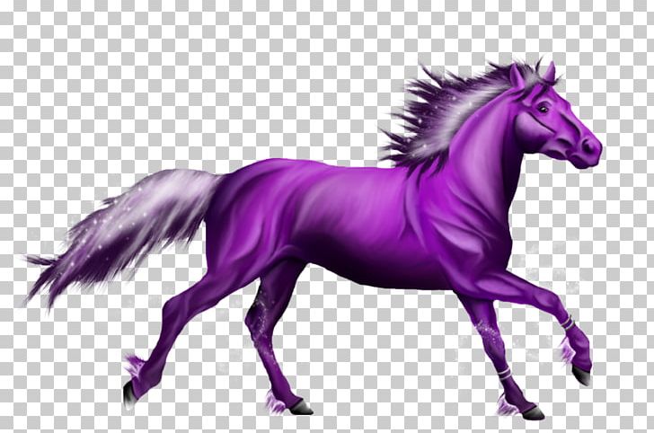 Friesian Horse Mustang American Quarter Horse Pony Stallion PNG, Clipart, Amer, Animal, Bridle, Colt, Fictional Character Free PNG Download