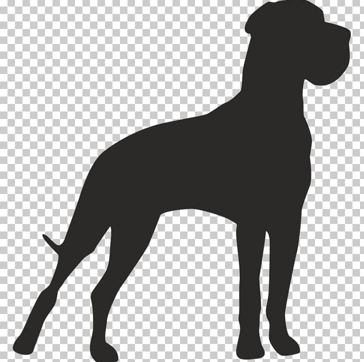Great Dane Dog Breed Akita Pet Sitting American Staffordshire Terrier PNG, Clipart, Akita, American Staffordshire Terrier, Animals, Carnivoran, Dachshund Free PNG Download