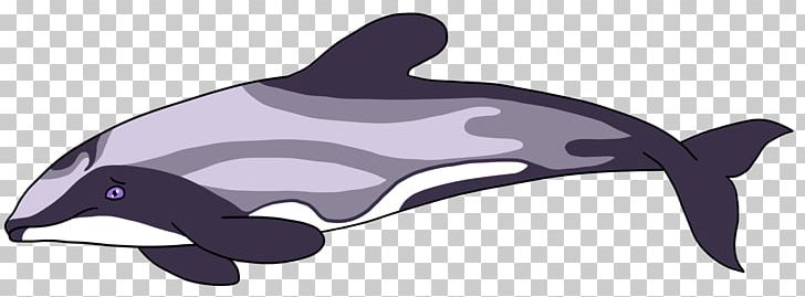 Maui's Dolphin Porpoise Cetaceans PNG, Clipart,  Free PNG Download