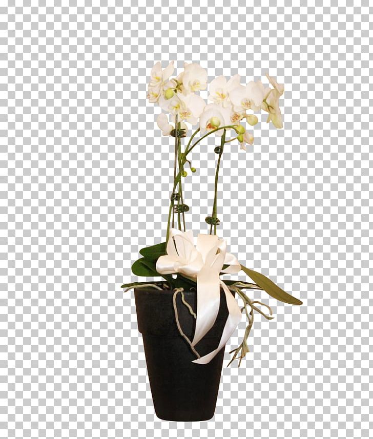 Moth Orchids Floral Design Cut Flowers Vase PNG, Clipart, Artificial Flower, Cut Flowers, Decorative, Flora, Floral Design Free PNG Download