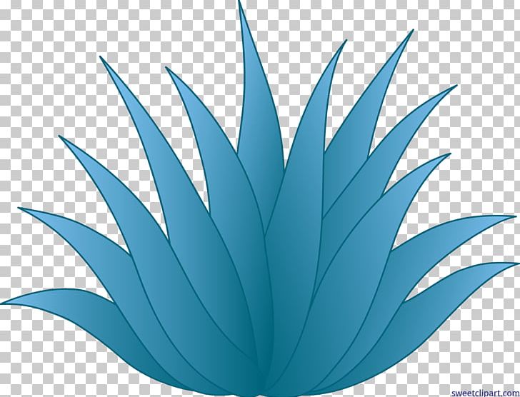 Agave Azul Tequila Plant Cactaceae PNG, Clipart, Agave, Agave Azul, Agave Cactus, Agave Nectar, Aloe Vera Free PNG Download