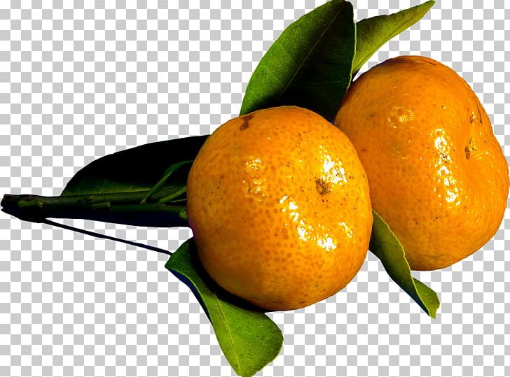 Clementine Mandarin Orange Bitter Orange Rangpur Tangelo PNG, Clipart, Calamondin, Citrus, Essential Oil, Food, Fruit Free PNG Download