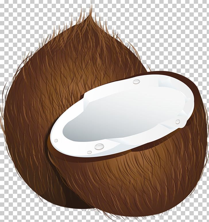 Coconut PNG, Clipart, Arecales, Blog, Coconut, Coconut Tree, Document Free PNG Download
