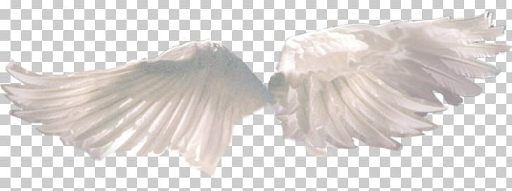 Social Media PNG, Clipart, Angel, Angel Wings, Art, Data, Deviantart Free PNG Download