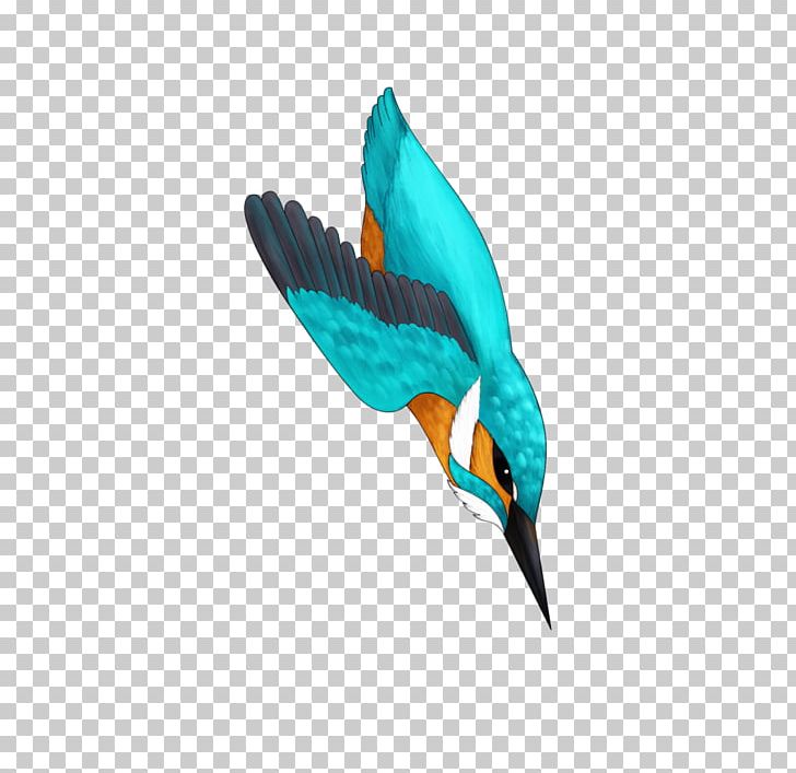 Bird Turquoise Teal Feather Beak PNG, Clipart, Animals, Beak, Bird, Feather, Organism Free PNG Download
