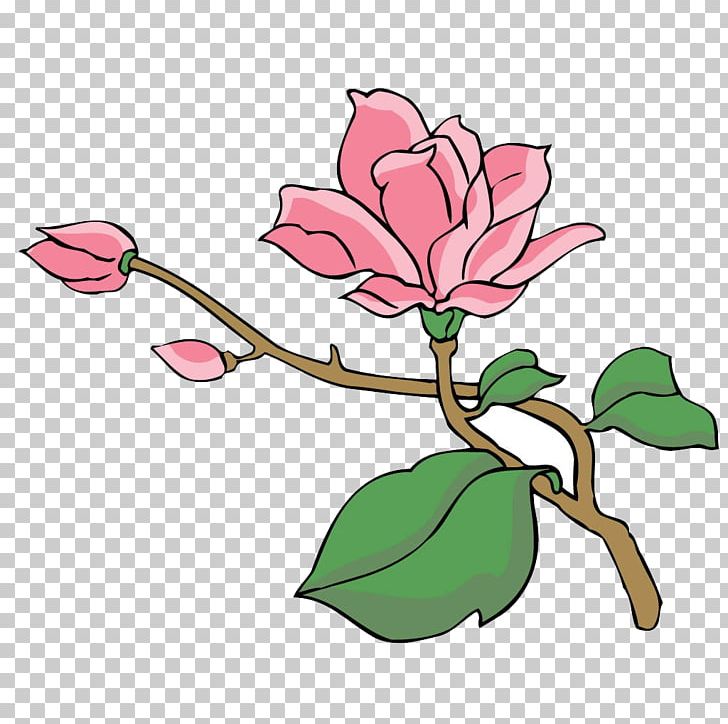 Magnolia Tree Euclidean PNG, Clipart, Blossom, Branch, Cartoon, Clip Art, Color Free PNG Download