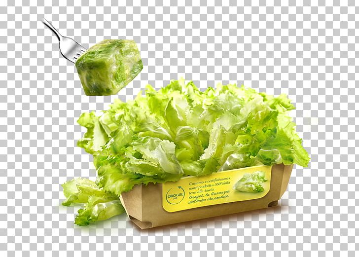 Romaine Lettuce Vegetarian Cuisine Salad Diet Food PNG, Clipart, Diet, Diet Food, Dish, Food, La Quinta Inns Suites Free PNG Download
