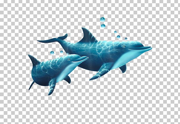 Common Bottlenose Dolphin Tucuxi Short-beaked Common Dolphin Rough-toothed Dolphin Sunday PNG, Clipart, Bottlenose Dolphin, Calendar, Electric Blue, Fauna, Mammal Free PNG Download