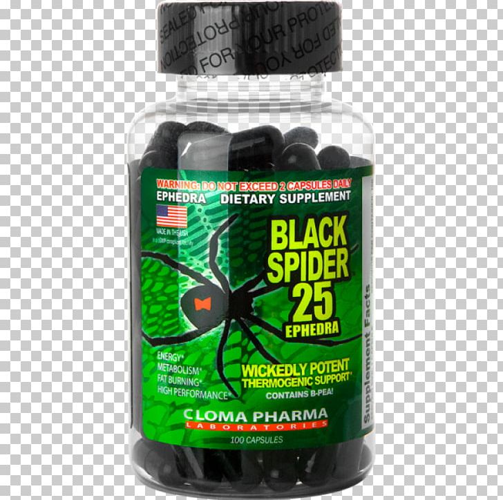 Spider Dietary Supplement Fat Emulsification Ephedra Bodybuilding Supplement PNG, Clipart, Black Spider, Bodybuilding Supplement, Caffeine, Capsule, Cloma Pharma Free PNG Download