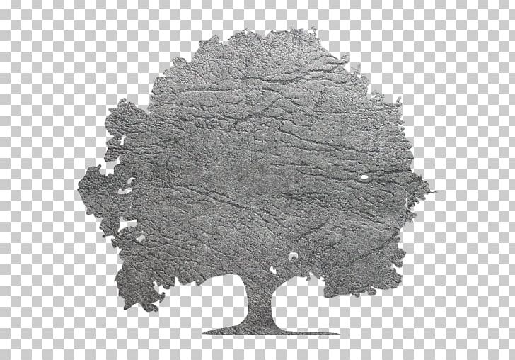 Tree Health Garden Design Coba Studios & Print Shop PNG, Clipart, Black And White, Business, Fountain, Garden, Garden Design Free PNG Download