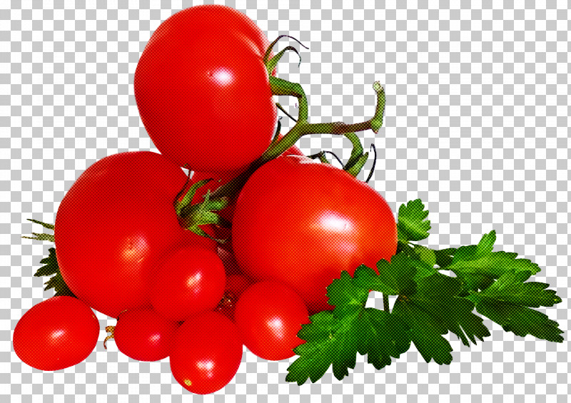 Tomato PNG, Clipart, Bush Tomato, Cherry, Cherry Tomato, Cuisine, Fruit Free PNG Download