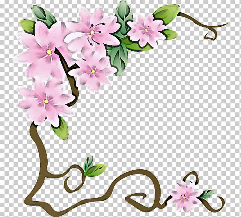 Flower Plant Petal Cut Flowers Blossom PNG, Clipart, Blossom, Cut Flowers, Flower, Petal, Plant Free PNG Download
