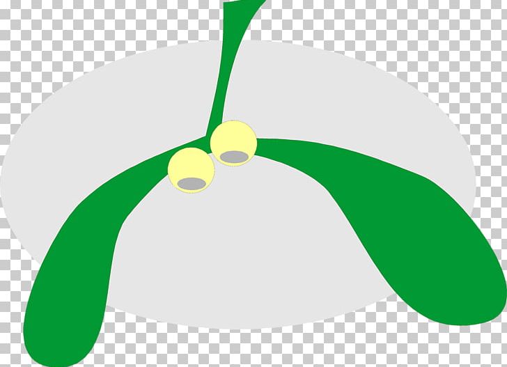Photography Mistletoe PNG, Clipart, Christmas, Circle, Desktop Wallpaper, Drawing, Grass Free PNG Download