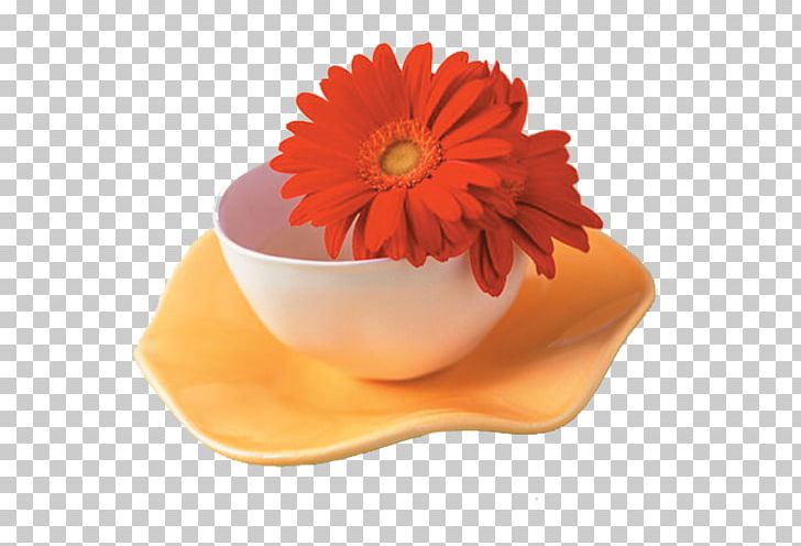 Flower Cup Rose Glass PNG, Clipart, Birth Flower, Chrysanthemum, Cup, Daisy Family, Elegant Free PNG Download