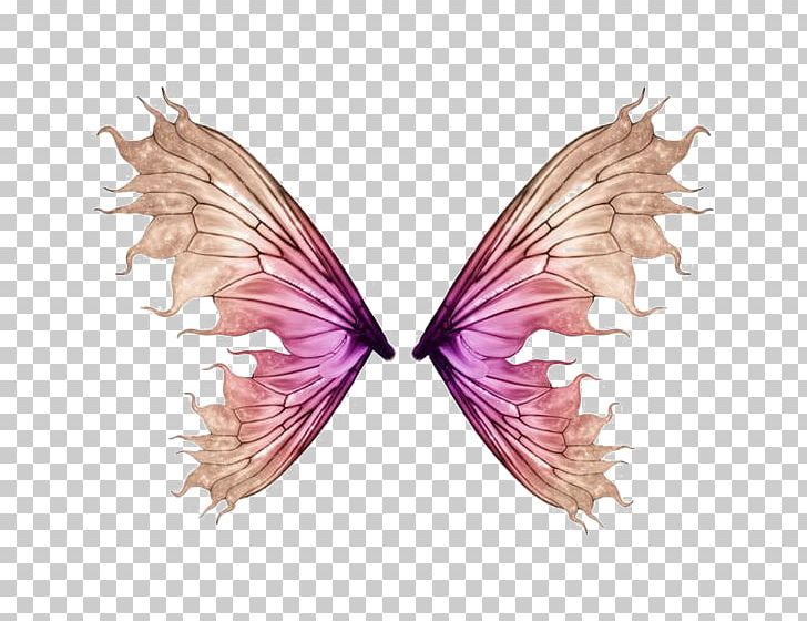 Photography PNG, Clipart, Angels Wings, Angel Wing, Angel Wings, Cartoon, Chicken Wings Free PNG Download