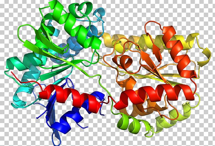 Chili Pepper Tryptophan Synthase Structural Biology Toll Structure PNG, Clipart, Biology, Chili Pepper, Coli, Crystallography, Escherichia Free PNG Download