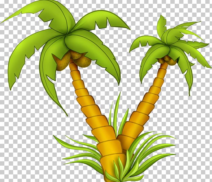 Coconut Tree Drawing PNG, Clipart, Arecales, Cartoon, Cba, Coconut, Download Free PNG Download