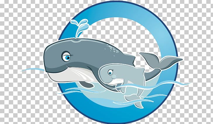 Dolphin Shark Porpoise Marine Biology PNG, Clipart, Biology, Blue, Cartilaginous Fish, Cetacea, Dolphin Free PNG Download