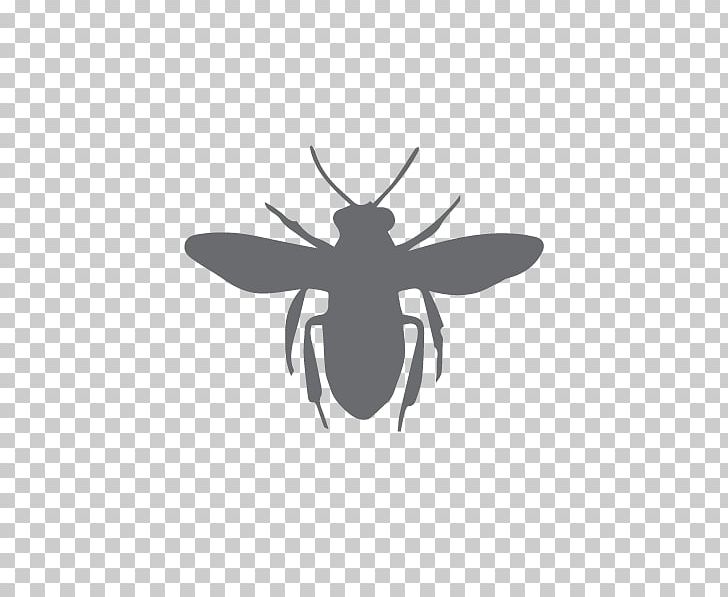 European Dark Bee Silhouette PNG, Clipart, Arthropod, Bee, Beehive, Black, Black And White Free PNG Download