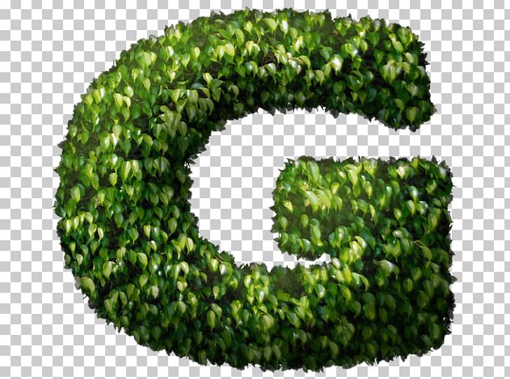 Green PNG, Clipart, Grass, Green, Shrub, Tree Free PNG Download