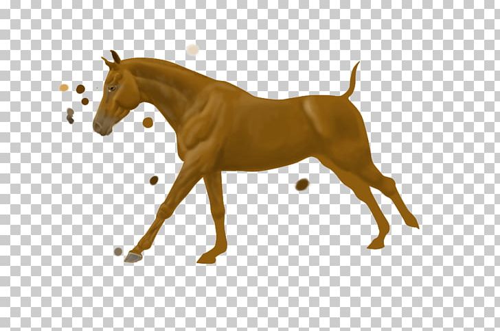 Mustang Foal Stallion Mare Halter PNG, Clipart, Animal Figure, Arabian Horse, Bridle, Florida Kraze Krush Soccer Club, Foal Free PNG Download